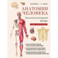 Анатомия человека: большой популярный атлас. Автор Габриэль Билич