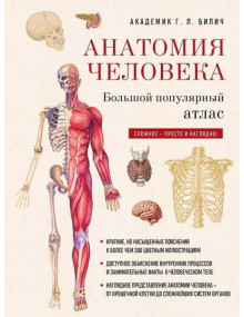 Анатомия человека: большой популярный атлас. Автор Габриэль Билич